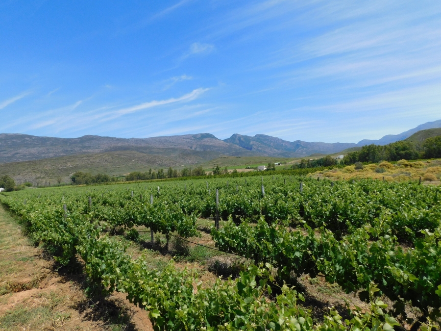 Commercial Property for Sale in Robertson Rural Western Cape